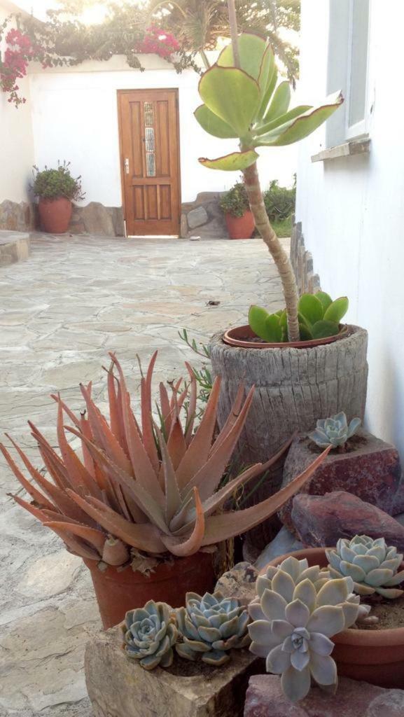 Ocean Melody Apartment Swakopmund Exterior photo